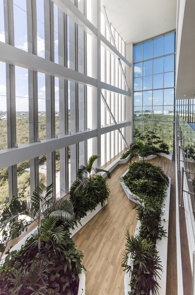 Jardines área de hospitalización / Jardines área de consultorios Hospital Christus Muguerza / Faro del Mayab