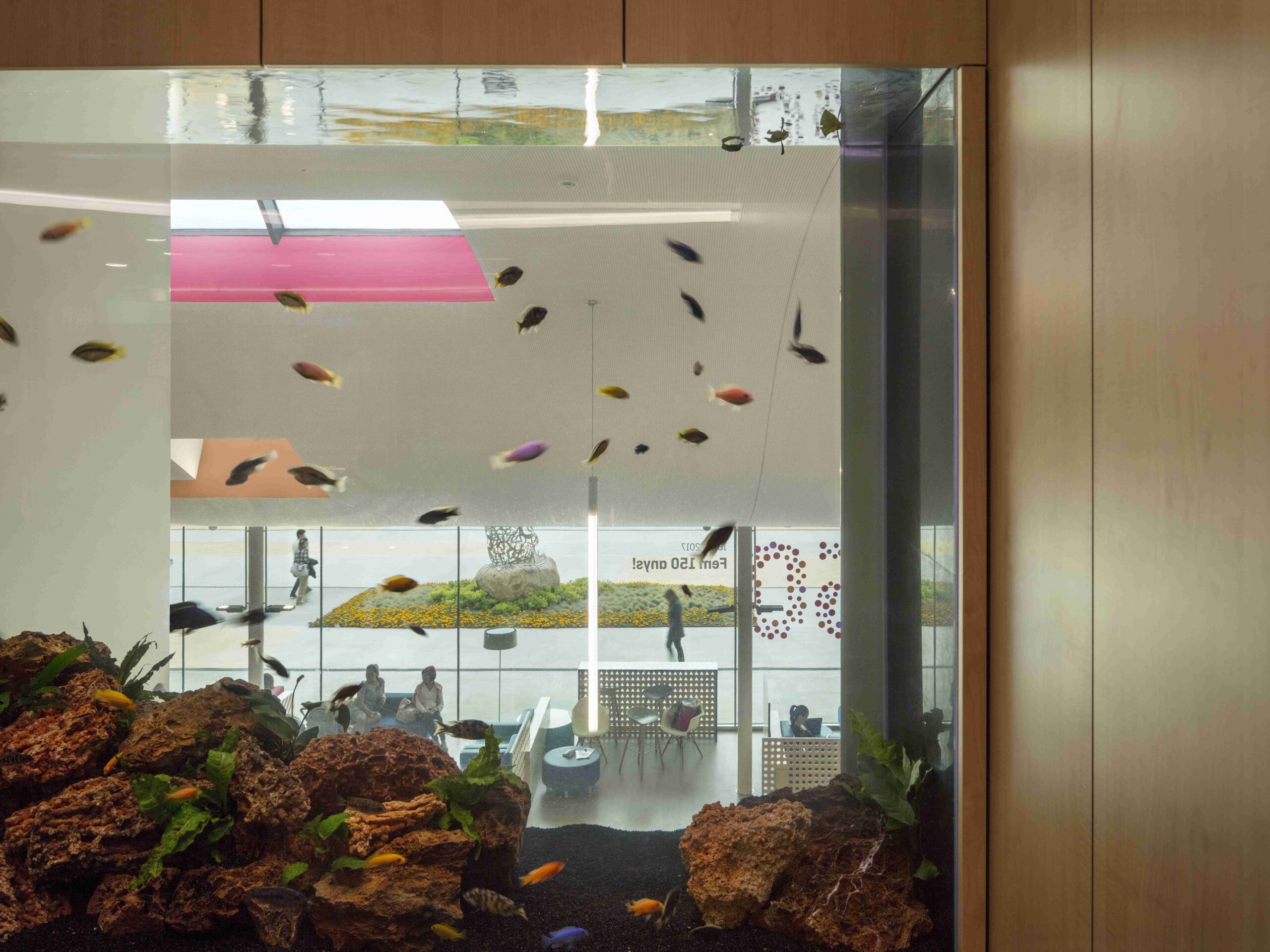 Imagen 7 @Lluís Casals