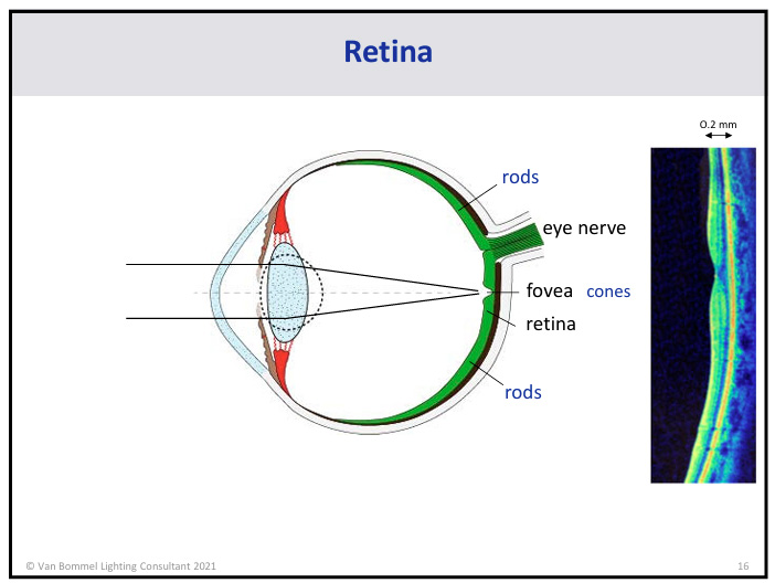 Composición del espectro visible