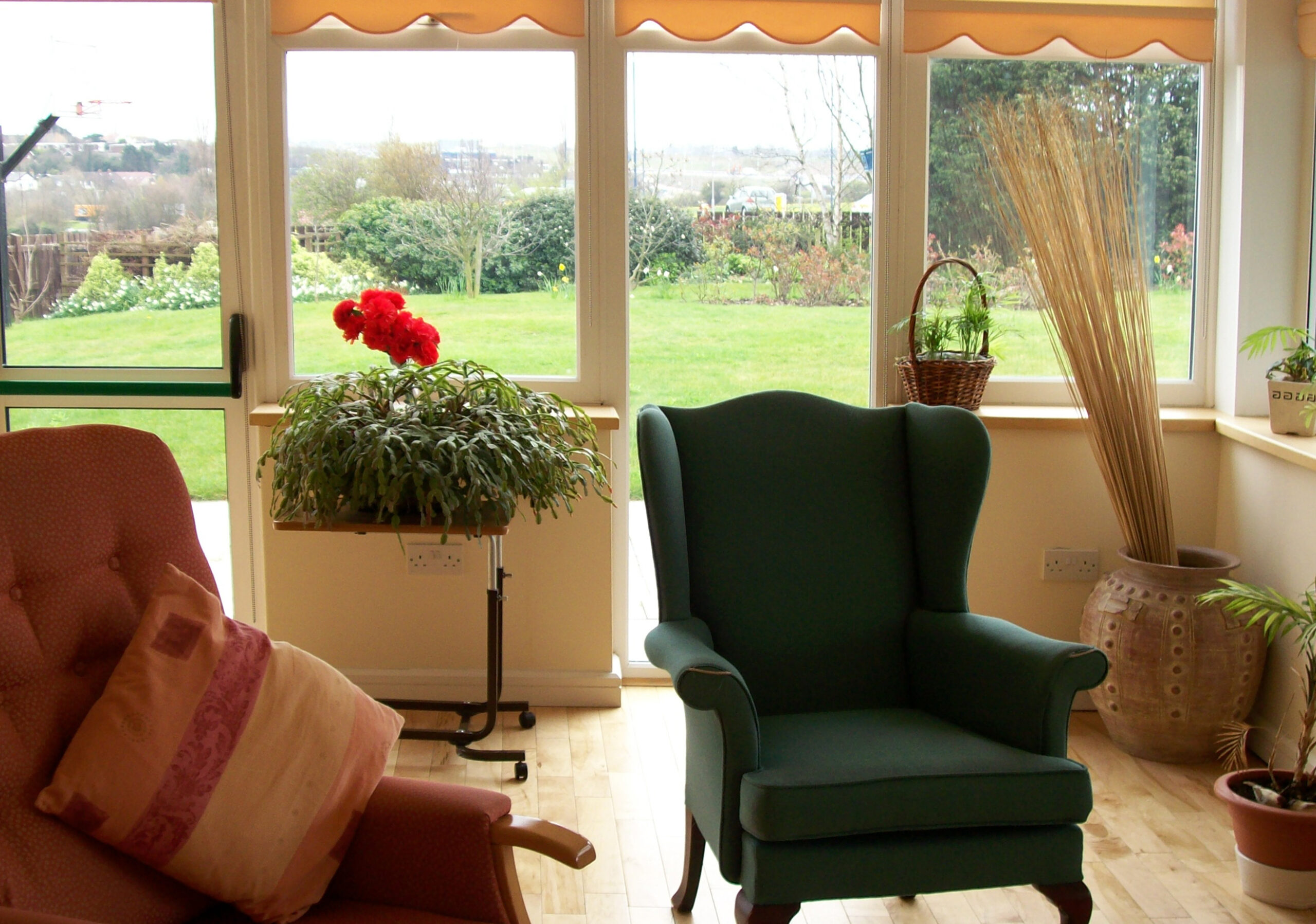 Imagen 5 _Luz y naturaleza para el bienestar