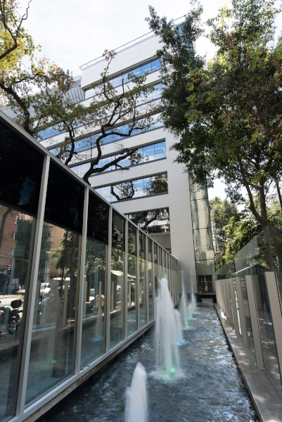 Fotos de Juncal exterior