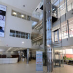 Hall de acceso público: luz natural y visuales en un espacio contenedor y con hitos que ayudan a una orientación intuitiva.