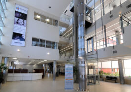 Hall de acceso público: luz natural y visuales en un espacio contenedor y con hitos que ayudan a una orientación intuitiva.