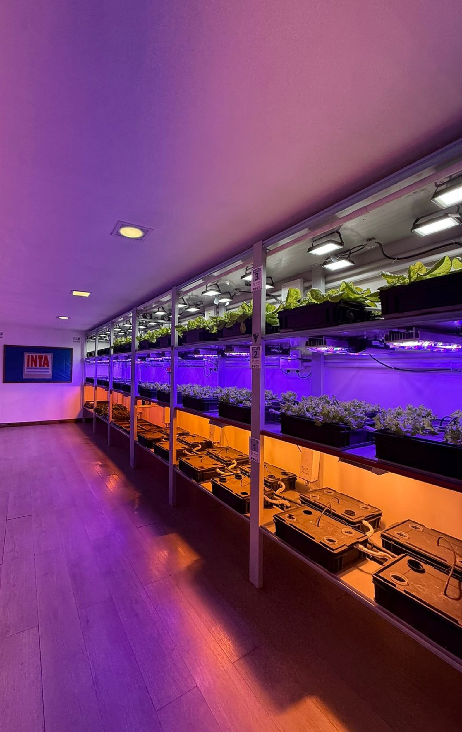 Base antártica Esperanza, módulo antártico de hidroponía, producción de verduras frescas para consumo de la dotación