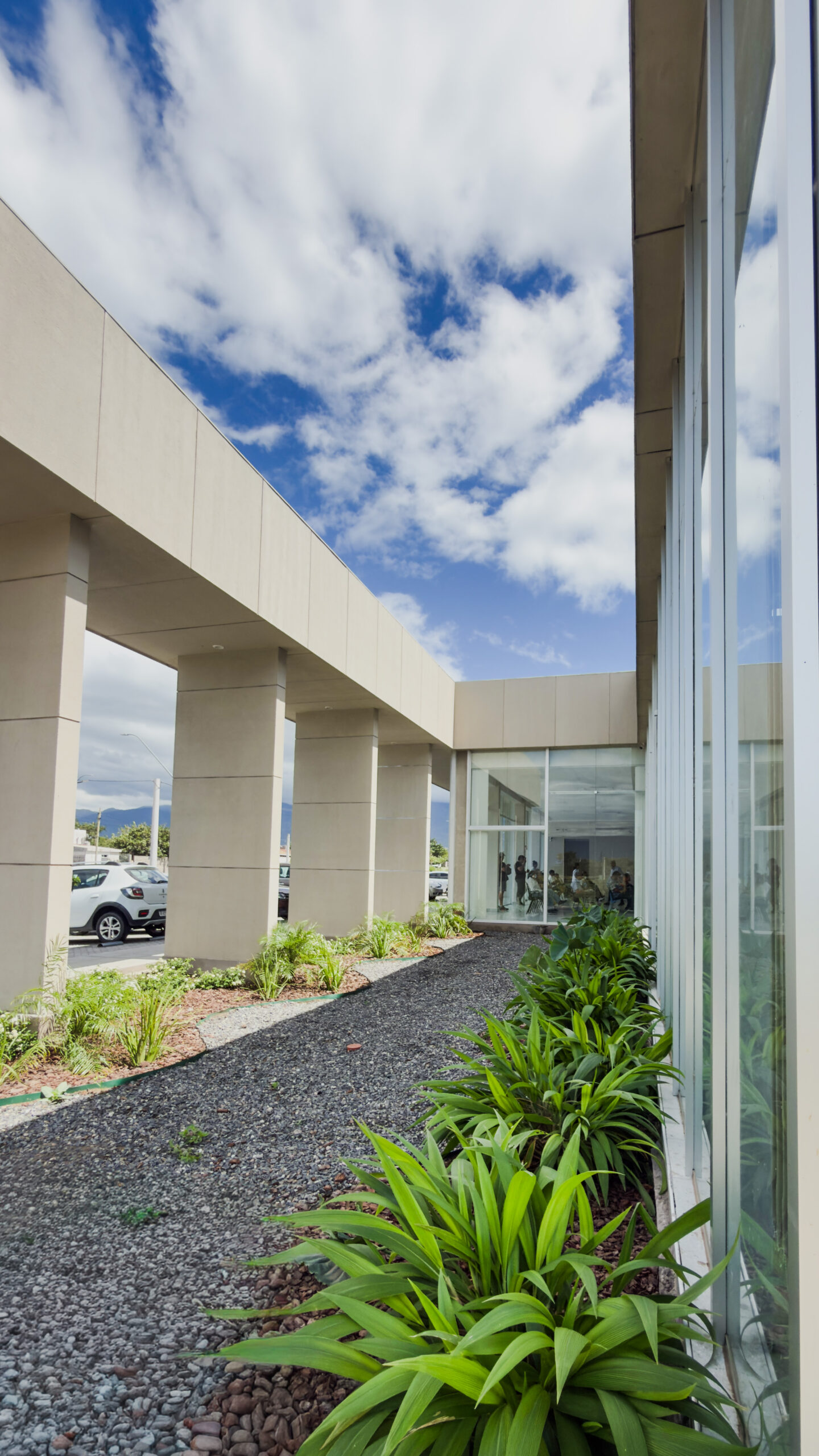 Fachada frontal con jardines biofílicos. La vegetación de bajo mantenimiento, el uso de gravilla volcánica y las palmeras crean una transición suave entre el espacio urbano y el interior clínico.